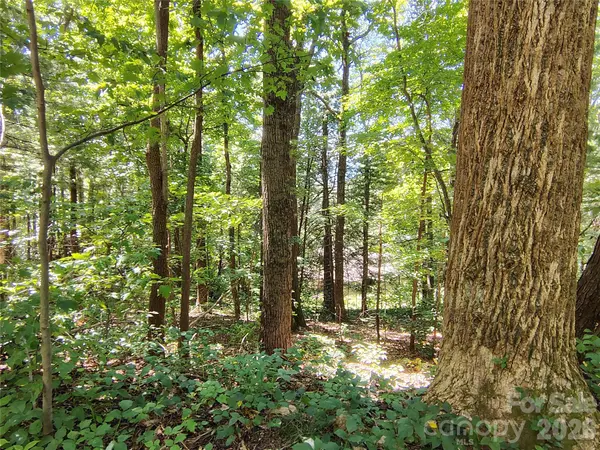 99999 Balsam CT #12B, Arden, NC 28704