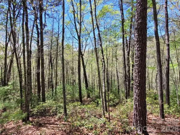 Lot 21 Little Fox RUN, Marion, NC 28752