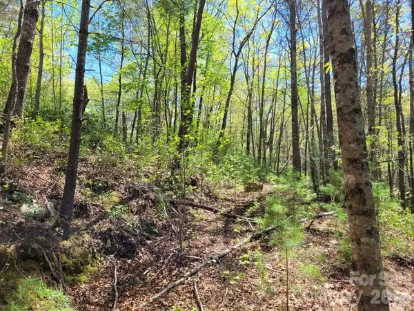 Lot 21 Little Fox RUN, Marion, NC 28752