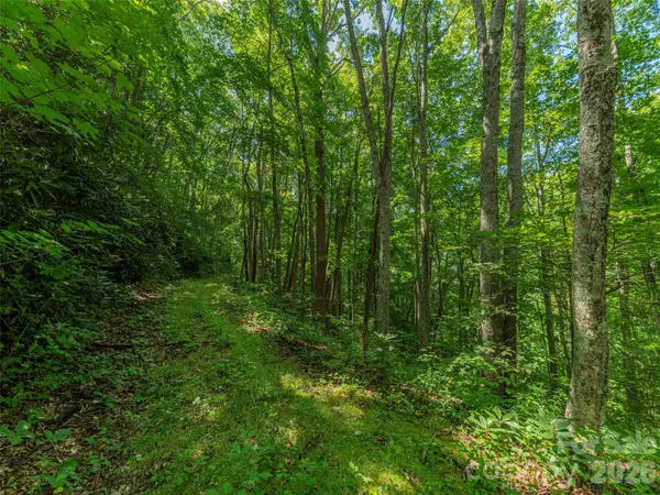 132 Grouse RD #131, 132, 133, 134, Clyde, NC 28721