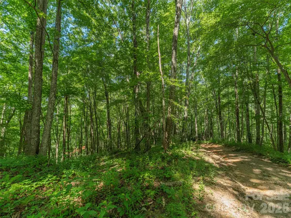 132 Grouse RD #131, 132, 133, 134, Clyde, NC 28721