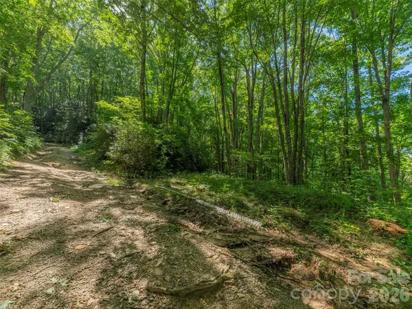 132 Grouse RD #131, 132, 133, 134, Clyde, NC 28721
