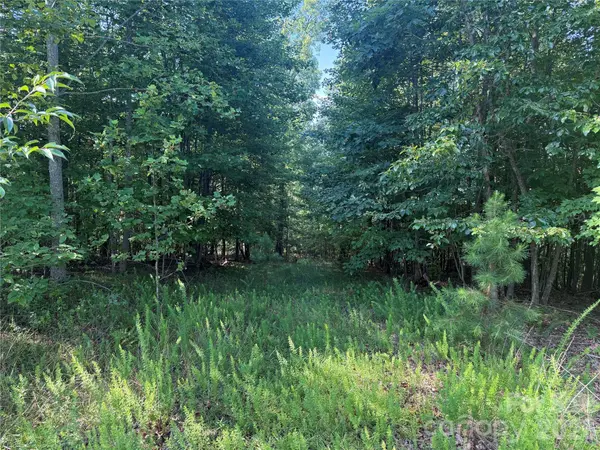 V/L Scenic Vista DR #332/333, Nebo, NC 28761