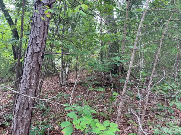00 Tyler TER #Lot 11, Rutherfordton, NC 28139