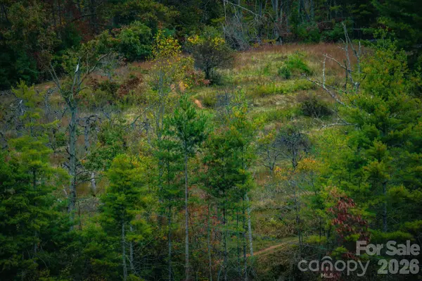 876 Saylor Lake RD, Bakersville, NC 28705