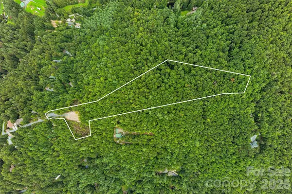 0 Morgan DR, Penrose, NC 28766