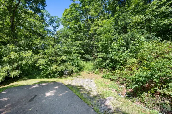 1250 Arborcrest WAY #43, Swannanoa, NC 28778