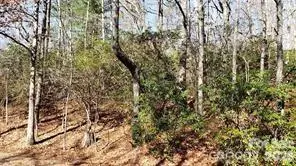TBD Galax LN #G-11, Brevard, NC 28712