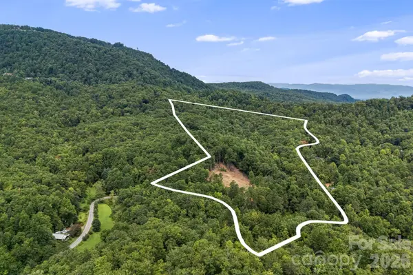 163 Camp Elliott RD, Black Mountain, NC 28711