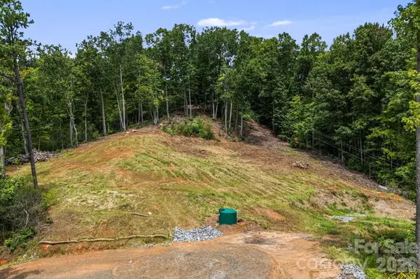 163 Camp Elliott RD, Black Mountain, NC 28711