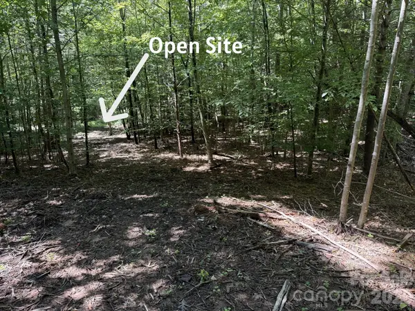 V/L Forest Country DR #34, Marion, NC 28752