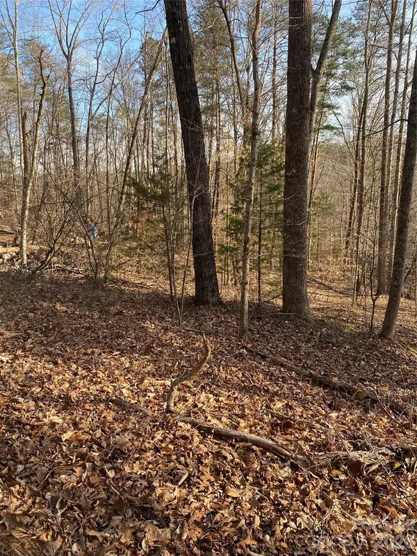 0 Hugh Champion RD, Tryon, NC 28782