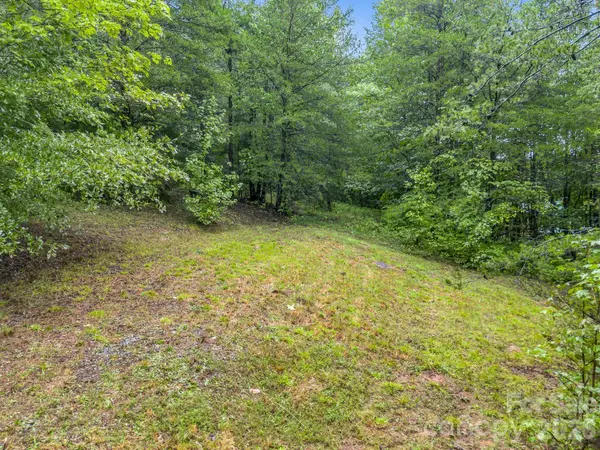 0 Observation RDG, Rutherfordton, NC 28139