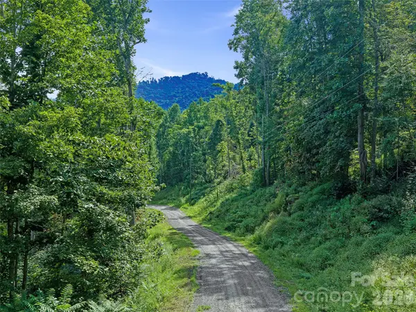 Lot #63-65 Bear Ridge RD, Bakersville, NC 28705