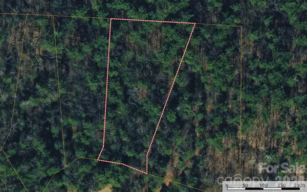 TBD Rich Pine DR #119, Purlear, NC 28665