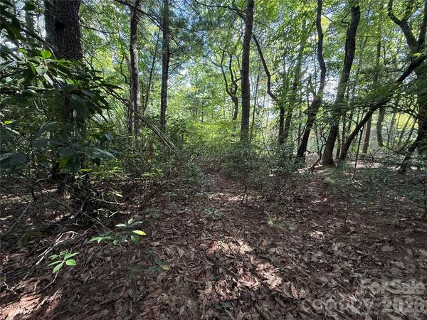 TBD Rich Pine DR #119, Purlear, NC 28665