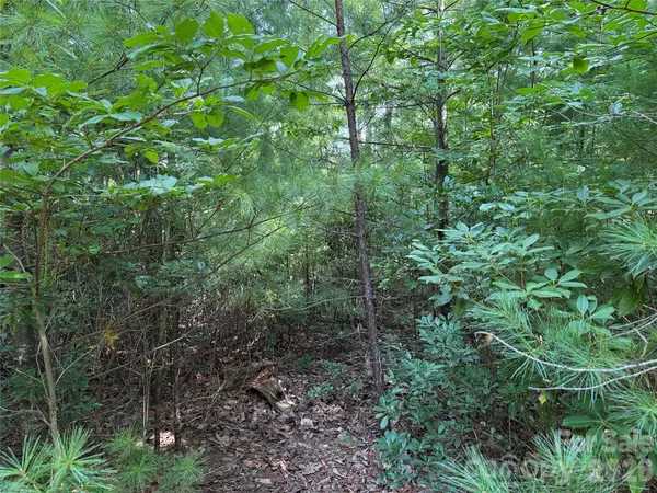 TBD Rich Pine DR #119, Purlear, NC 28665