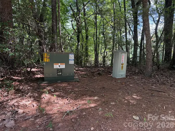 TBD Rich Pine DR #119, Purlear, NC 28665