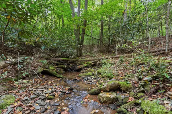 TBD Pond RD, Spruce Pine, NC 28777