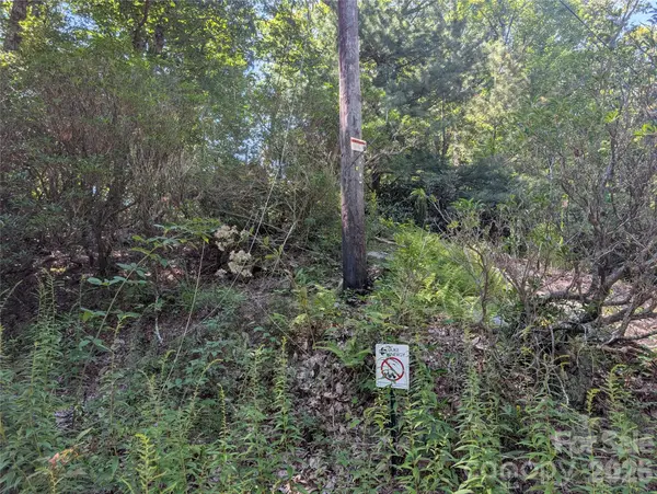 1824 Old Mill RD, Hendersonville, NC 28792