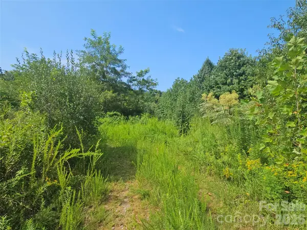 522 Buckeye Access RD, Swannanoa, NC 28778