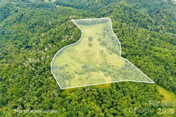 tbd Vaughn Potter RD, Zionville, NC 28698