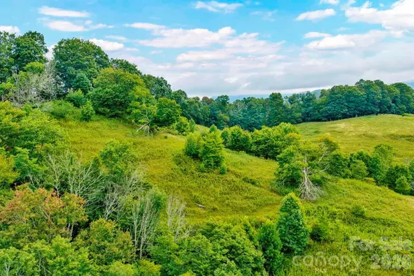 tbd Vaughn Potter RD, Zionville, NC 28698