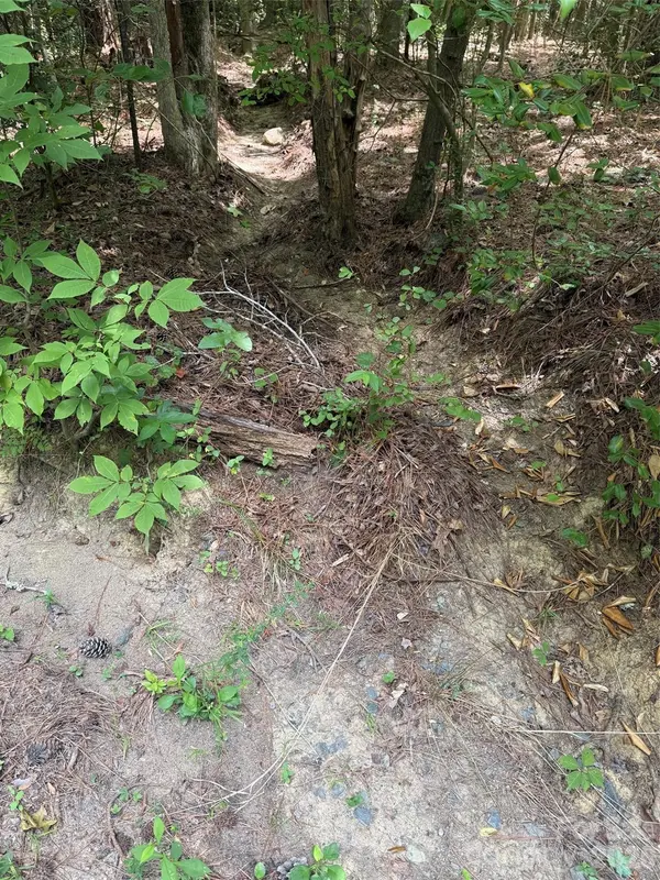 0 Blackwell ST, Mount Gilead, NC 27306