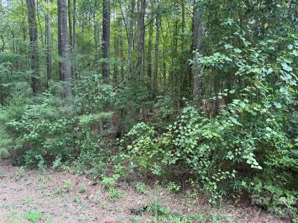 0 Blackwell ST, Mount Gilead, NC 27306