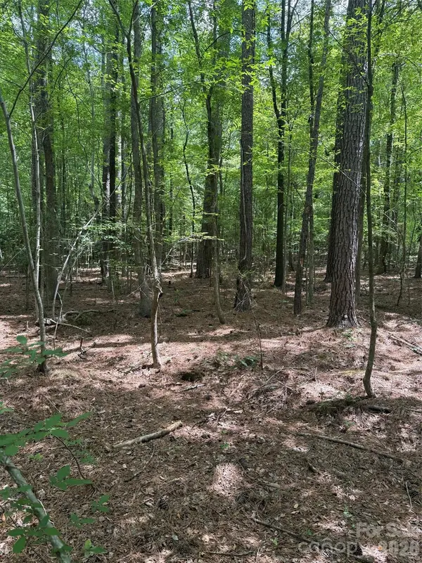 0 Blackwell ST, Mount Gilead, NC 27306