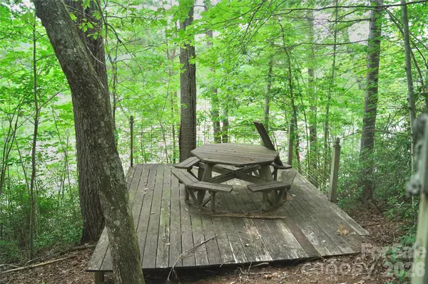 3 South Pointe RD, Mill Spring, NC 28756