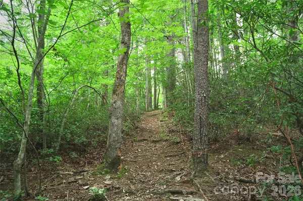 3 South Pointe RD, Mill Spring, NC 28756