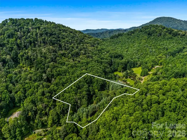 81 Summer Trees LN, Burnsville, NC 28714