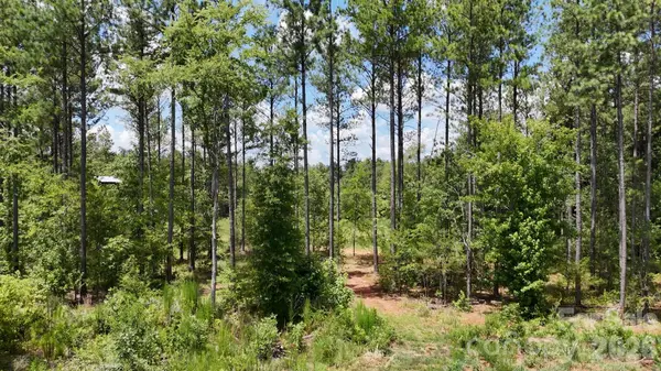 18+/- AC Lot 4 Parson RD, Mcconnells, SC 29726