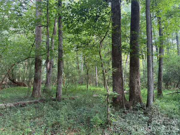 TBD Sincerity RD, Monroe, NC 28110