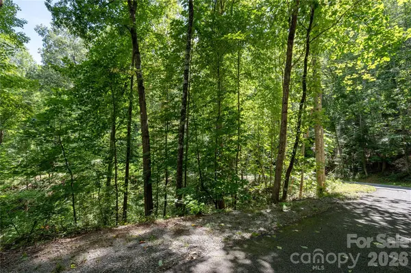 0 Weaver LN, Lake Lure, NC 28746
