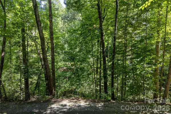 0 Weaver LN, Lake Lure, NC 28746