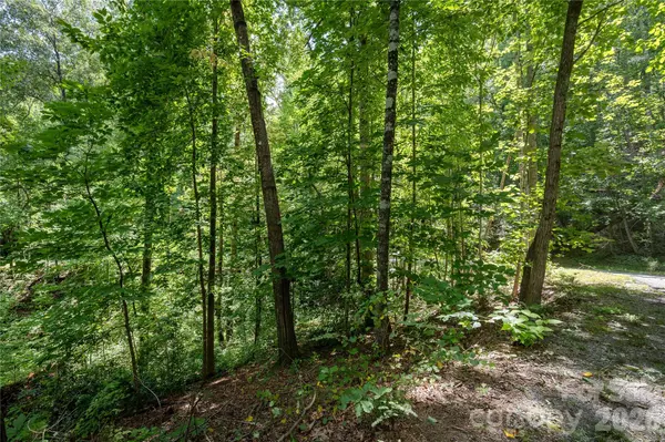 0 Weaver LN, Lake Lure, NC 28746