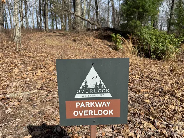 L4 Windy Gap LN, Sapphire, NC 28774