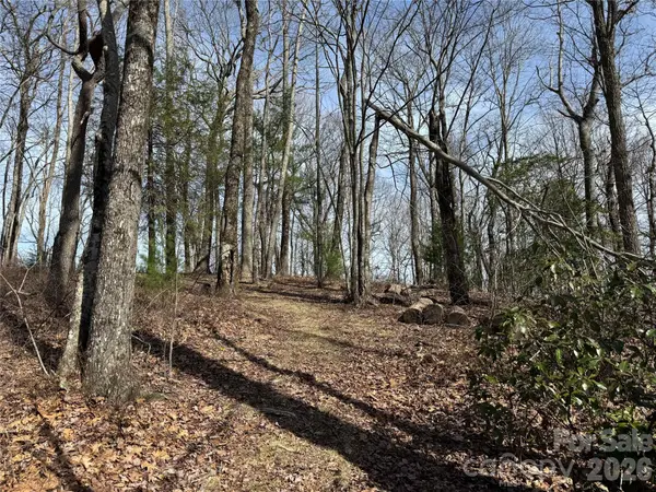 L4 Windy Gap LN, Sapphire, NC 28774