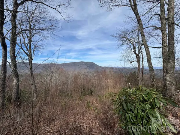L3 Windy Gap LN, Sapphire, NC 28774