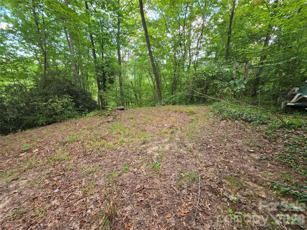 40 Gunches Dirt RD, Candler, NC 28715