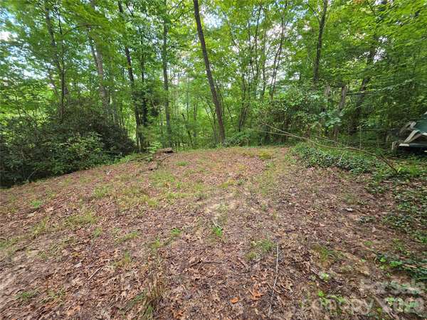 40 Gunches Dirt RD, Candler, NC 28715
