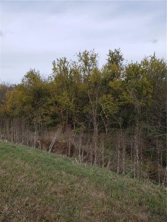 E State Route 2 HWY, Cleveland, MO 64734