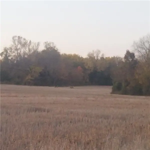 13-Acres E 315th ST, Drexel, MO 64742