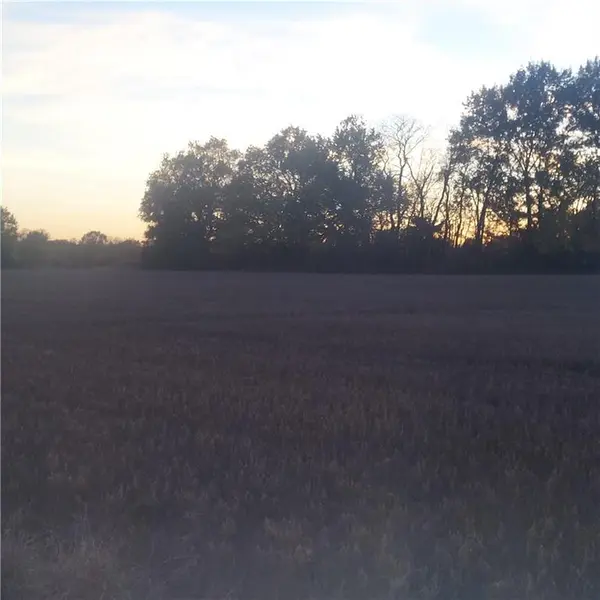 4-acres E 315th ST, Drexel, MO 64742