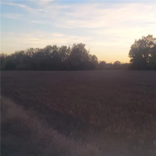 17-Acres E 315th ST, Drexel, MO 64742