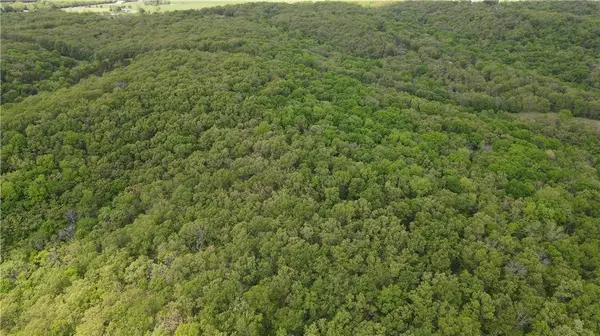 TBD SE 1121 RD, Deepwater, MO 64740