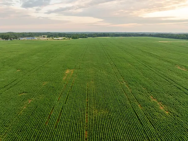 SW 600 RD, Montrose, MO 64770