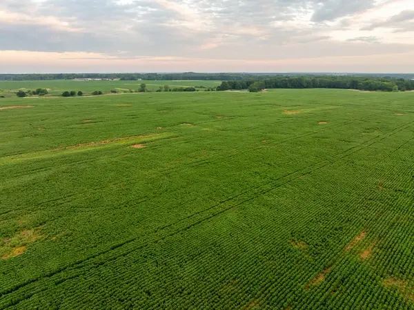 SW 600 RD, Montrose, MO 64770